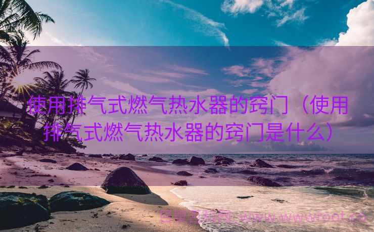 使用排气式燃气热水器的窍门（使用排气式燃气热水器的窍门是什么）