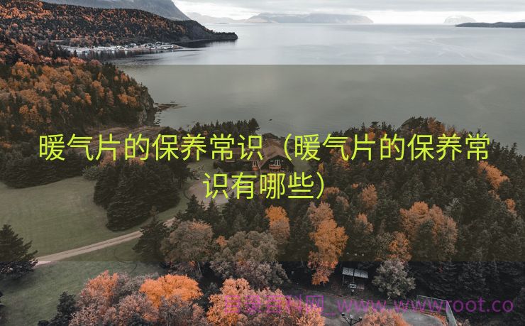 暖气片的保养常识（暖气片的保养常识有哪些）