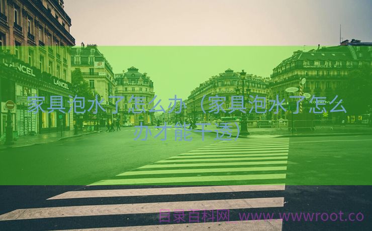 家具泡水了怎么办（家具泡水了怎么办才能干透）