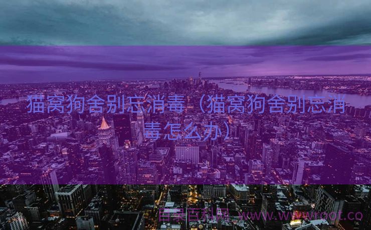 猫窝狗舍别忘消毒（猫窝狗舍别忘消毒怎么办）