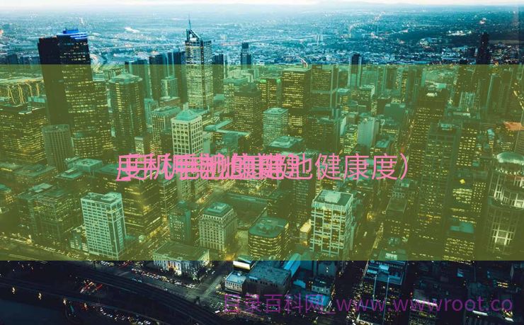 手机电池康健
_手机电池康健
度（手机的电池健康度）