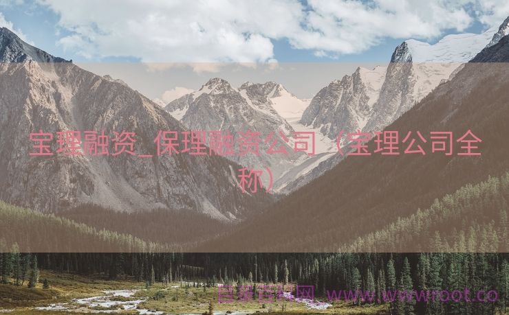 宝理融资_保理融资公司（宝理公司全称）