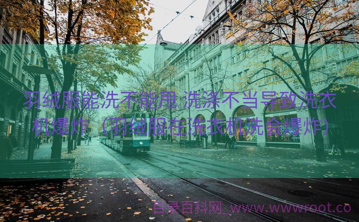 羽绒服能洗不能甩 洗涤不当导致洗衣机爆炸（羽绒服在洗衣机洗会爆炸）