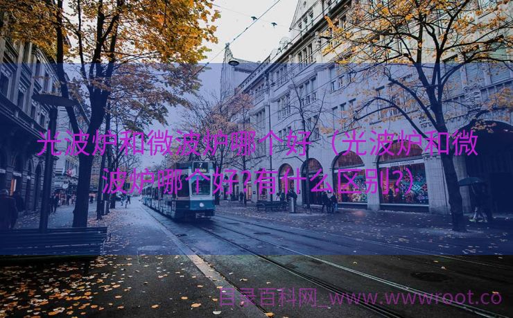 光波炉和微波炉哪个好（光波炉和微波炉哪个好?有什么区别?）