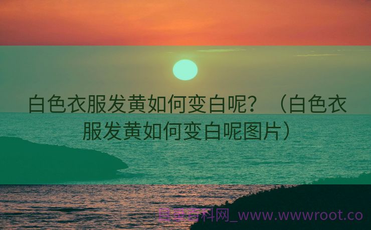白色衣服发黄如何变白呢？（白色衣服发黄如何变白呢图片）