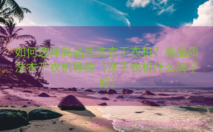 如何选择高品质洗衣干衣机？高品质洗衣干衣机导购（洗干衣机什么牌子好）