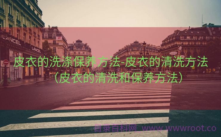 皮衣的洗涤保养方法-皮衣的清洗方法（皮衣的清洗和保养方法）
