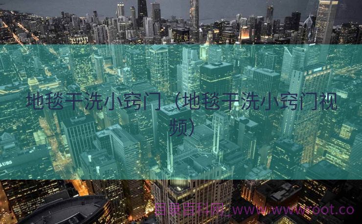 地毯干洗小窍门（地毯干洗小窍门视频）