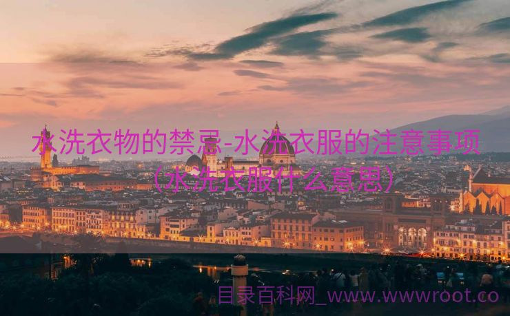水洗衣物的禁忌-水洗衣服的注意事项（水洗衣服什么意思）
