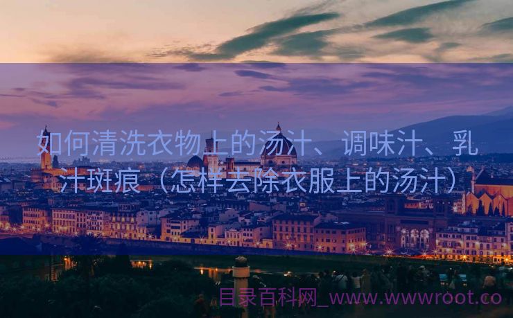如何清洗衣物上的汤汁、调味汁、乳汁斑痕（怎样去除衣服上的汤汁）