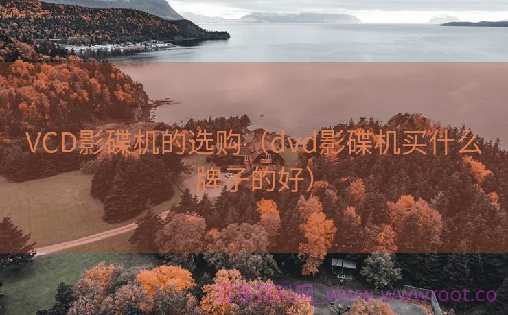 VCD影碟机的选购（dvd影碟机买什么牌子的好）