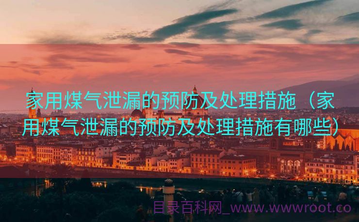 家用煤气泄漏的预防及处理措施（家用煤气泄漏的预防及处理措施有哪些）