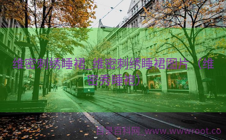 维密刺绣睡裙_维密刺绣睡裙图片（维密秀睡袍）