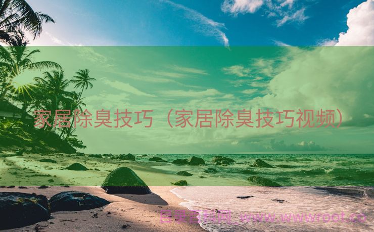 家居除臭技巧（家居除臭技巧视频）