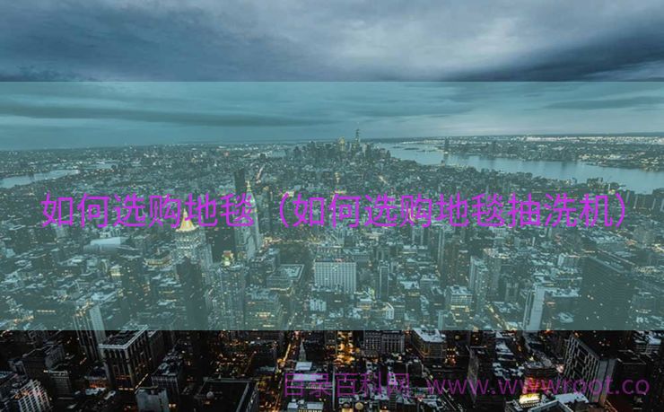 如何选购地毯（如何选购地毯抽洗机）