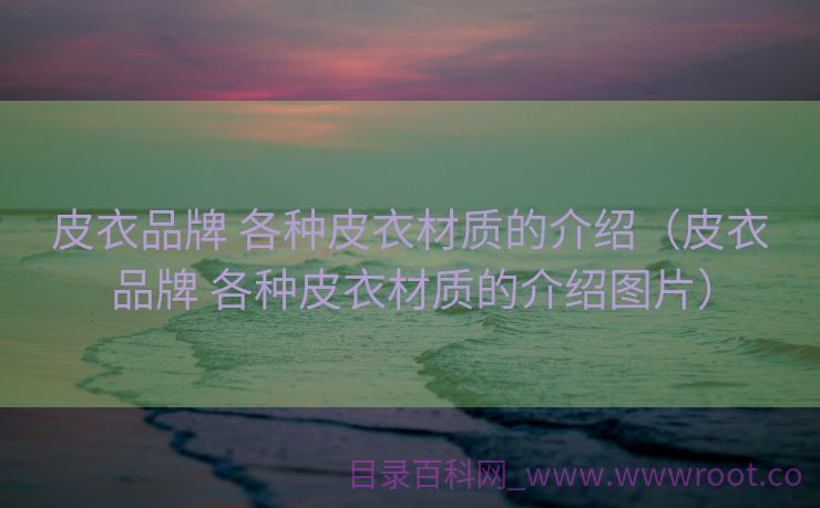 皮衣品牌 各种皮衣材质的介绍（皮衣品牌 各种皮衣材质的介绍图片）
