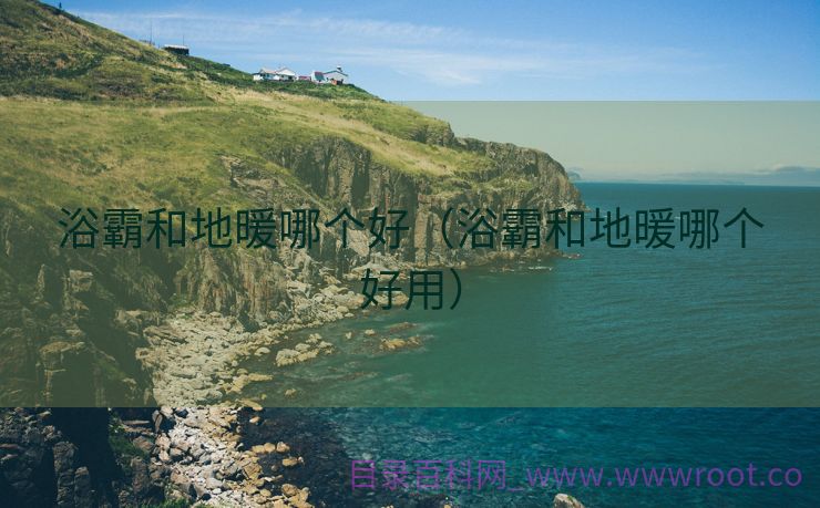 浴霸和地暖哪个好（浴霸和地暖哪个好用）