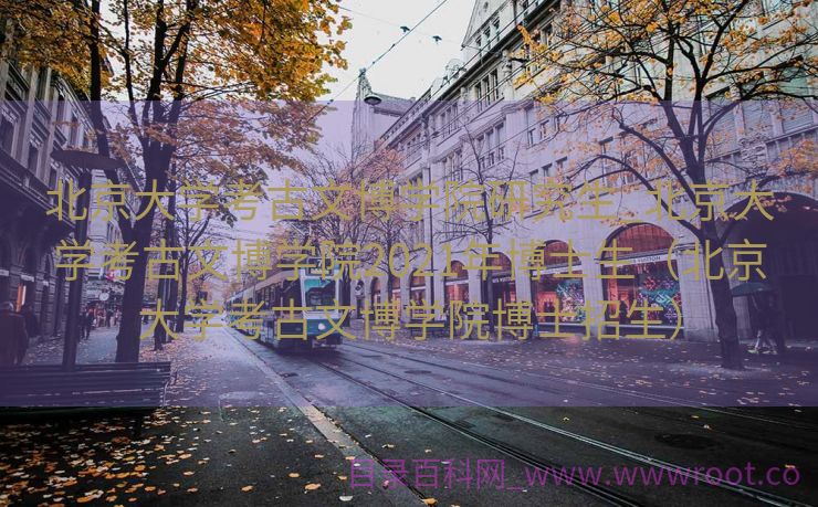 北京大学考古文博学院研究生_北京大学考古文博学院2021年博士生（北京大学考古文博学院博士招生）