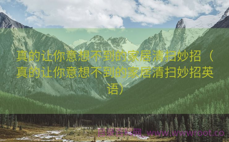 真的让你意想不到的家居清扫妙招（真的让你意想不到的家居清扫妙招英语）