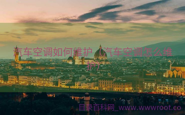 汽车空调如何维护（汽车空调怎么维护）