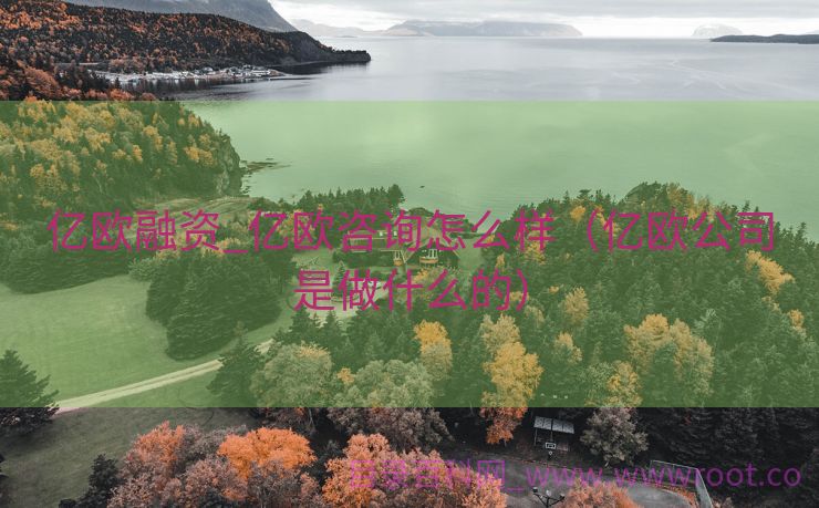亿欧融资_亿欧咨询怎么样（亿欧公司是做什么的）