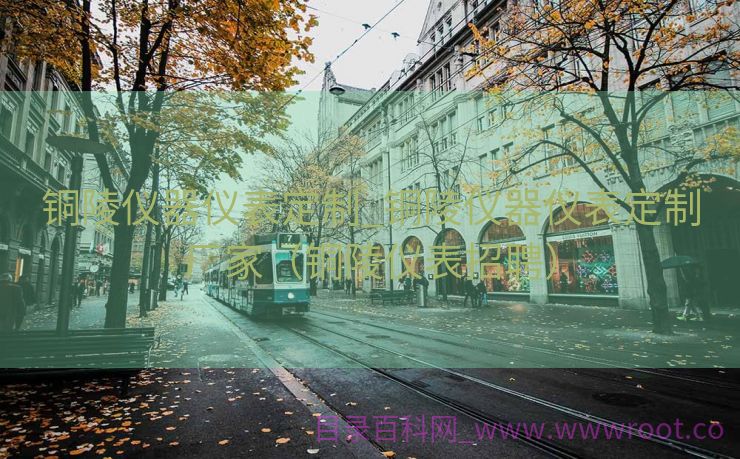 铜陵仪器仪表定制_铜陵仪器仪表定制厂家（铜陵仪表招聘）