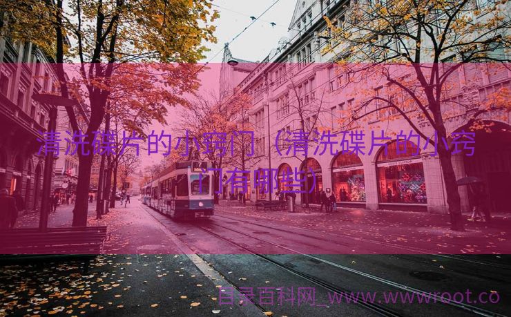 清洗碟片的小窍门（清洗碟片的小窍门有哪些）
