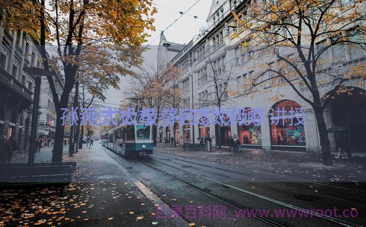 孙派太极拳_孙式太极拳讲授
（孙式太极拳名家视频）
