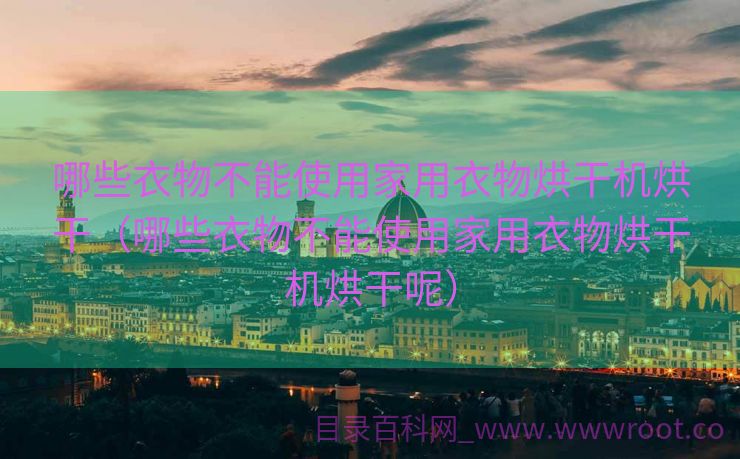 哪些衣物不能使用家用衣物烘干机烘干（哪些衣物不能使用家用衣物烘干机烘干呢）