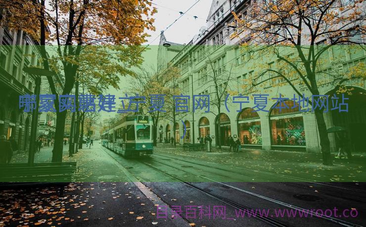 宁夏网站建立
哪家实惠好_宁夏 官网（宁夏本地网站）