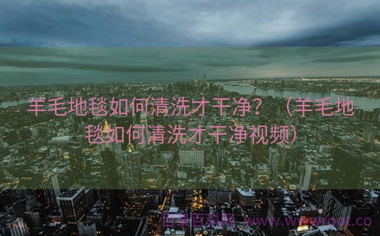 羊毛地毯如何清洗才干净？（羊毛地毯如何清洗才干净视频）