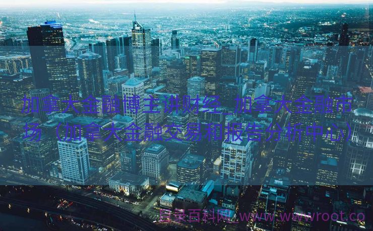 加拿大金融博主讲财经_加拿大金融市场（加拿大金融交易和报告分析中心）