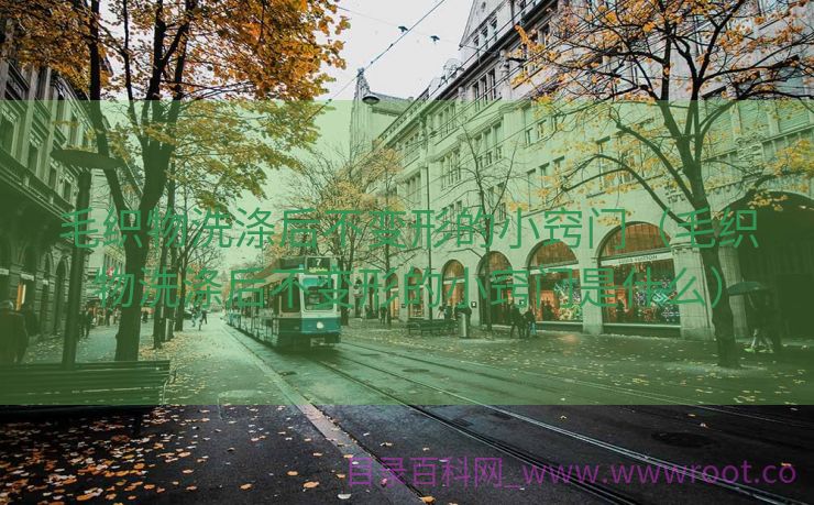 毛织物洗涤后不变形的小窍门（毛织物洗涤后不变形的小窍门是什么）