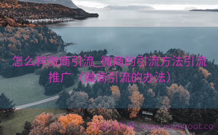 怎么样微商引流_微商的引流方法引流推广（微商引流的办法）
