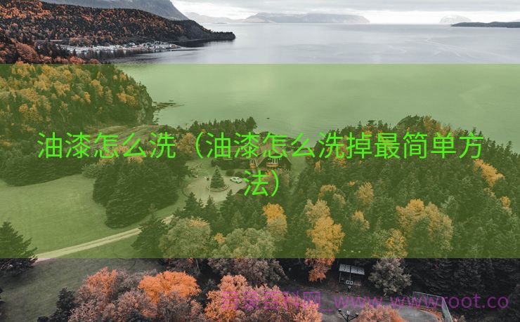 油漆怎么洗（油漆怎么洗掉最简单方法）