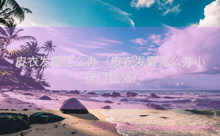 皮衣发霉怎么办（皮衣发霉怎么办小窍门视频）