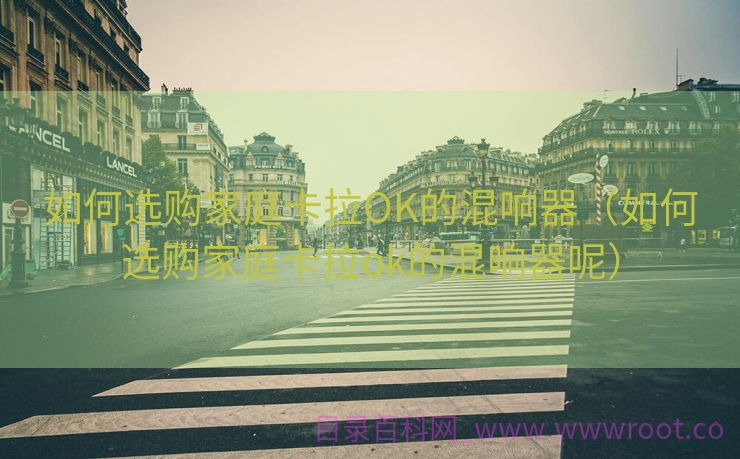 如何选购家庭卡拉OK的混响器（如何选购家庭卡拉ok的混响器呢）