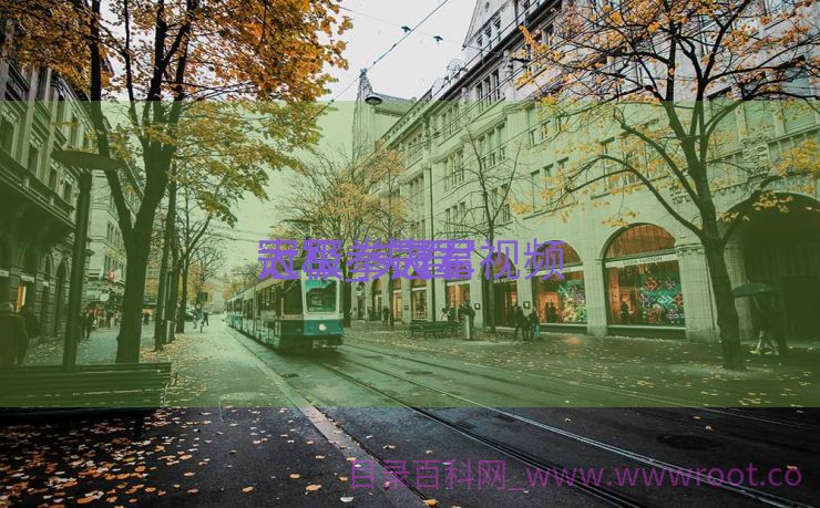 太极拳夫君
冠军_夫君
太极拳冠军视频