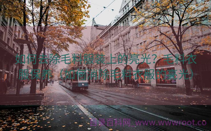 如何去除毛料服装上的亮光？毛料衣服保养（如何消除毛料衣服的亮光）