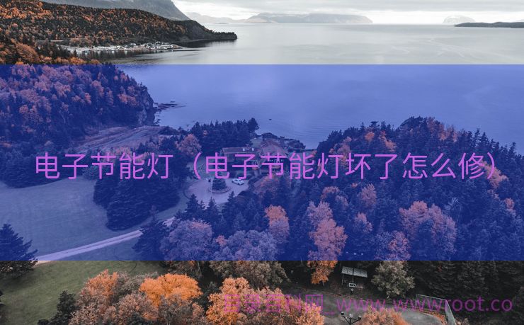 电子节能灯（电子节能灯坏了怎么修）