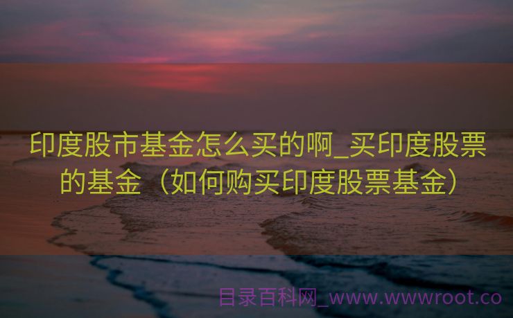 印度股市基金怎么买的啊_买印度股票的基金（如何购买印度股票基金）