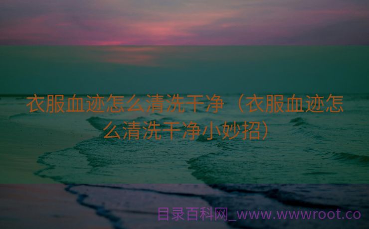 衣服血迹怎么清洗干净（衣服血迹怎么清洗干净小妙招）