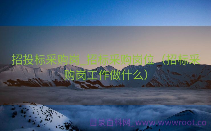 招投标采购岗_招标采购岗位（招标采购岗工作做什么）