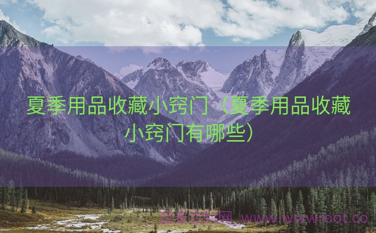 夏季用品收藏小窍门（夏季用品收藏小窍门有哪些）
