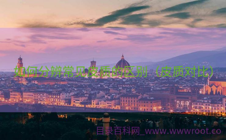 如何分辨常见皮质的区别（皮质对比）