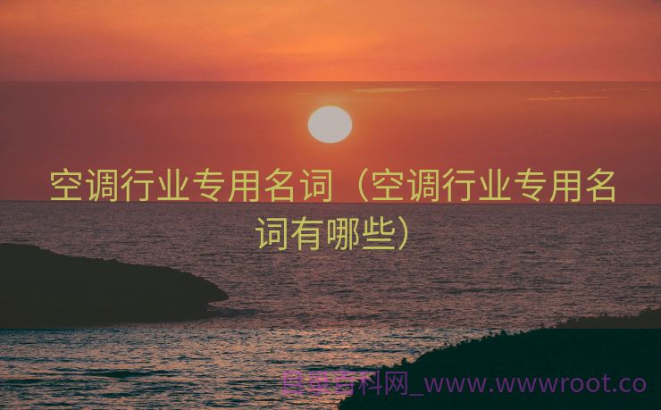空调行业专用名词（空调行业专用名词有哪些）