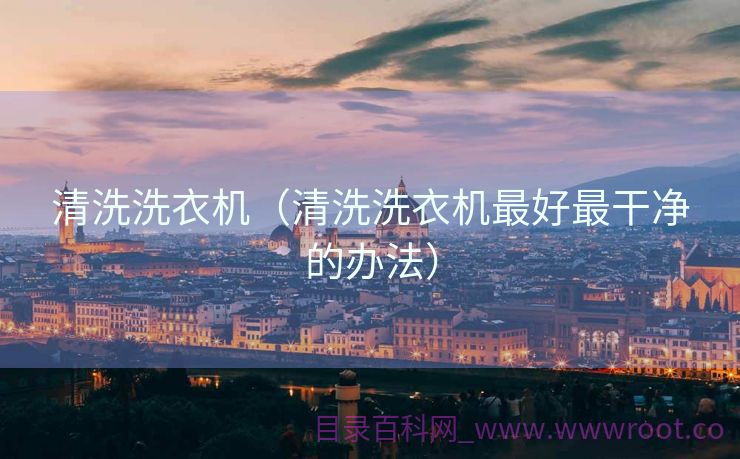 清洗洗衣机（清洗洗衣机最好最干净的办法）