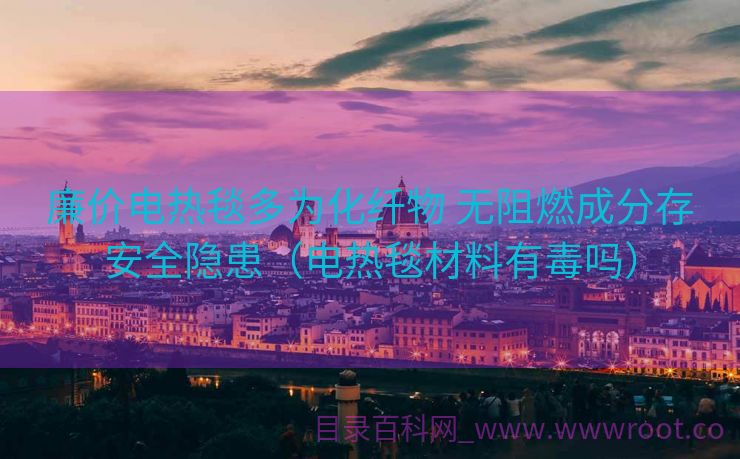 廉价电热毯多为化纤物 无阻燃成分存安全隐患（电热毯材料有毒吗）