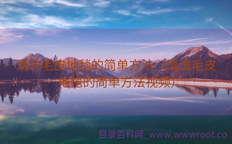清洗毛皮地毯的简单方法（清洗毛皮地毯的简单方法视频）