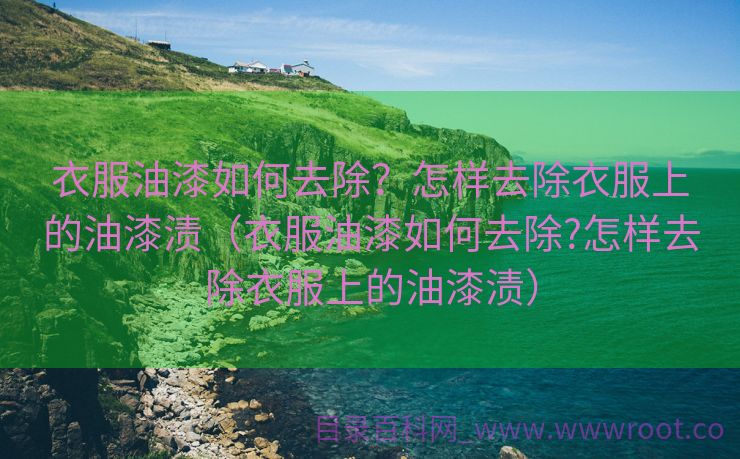 衣服油漆如何去除？怎样去除衣服上的油漆渍（衣服油漆如何去除?怎样去除衣服上的油漆渍）